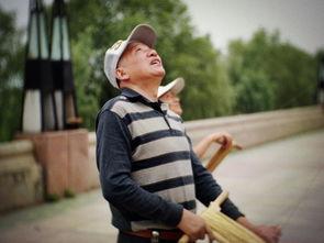 cctv f在线观看,在线观看轻松获取  第2张