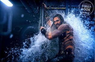 大胡子爆料海王视频,海王视频背后的惊人真相